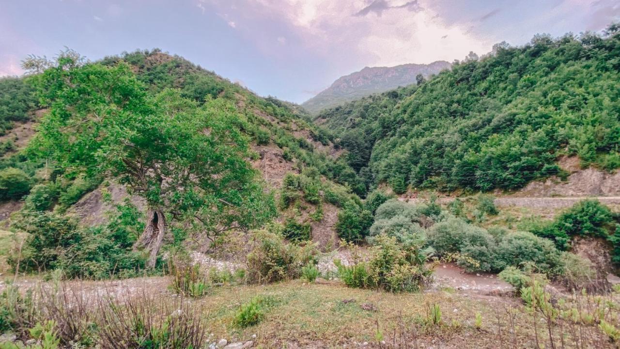 Apartamento Te baca Qerim Lekbibaj Exterior foto